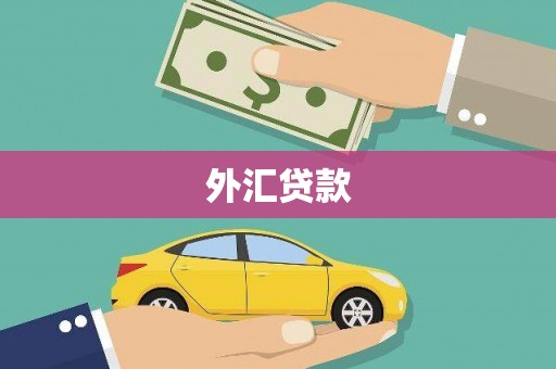 宜君外汇贷款