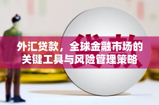 宜君外汇贷款，全球金融市场的关键工具与风险管理策略