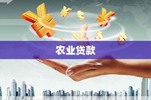 宜君农业贷款