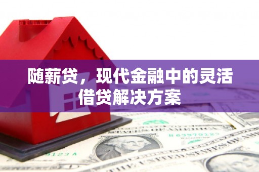 宜君随薪贷，现代金融中的灵活借贷解决方案