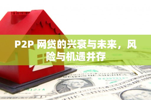 宜君P2P 网贷的兴衰与未来，风险与机遇并存