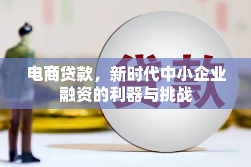 宜君电商贷款，新时代中小企业融资的利器与挑战