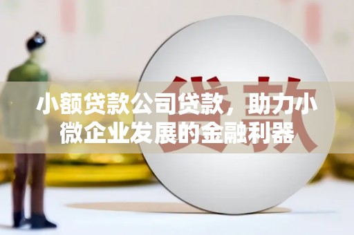 宜君小额贷款公司贷款，助力小微企业发展的金融利器