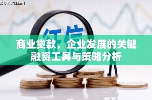宜君商业贷款，企业发展的关键融资工具与策略分析