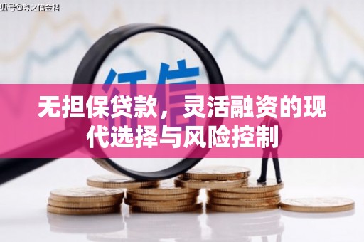 宜君无担保贷款，灵活融资的现代选择与风险控制
