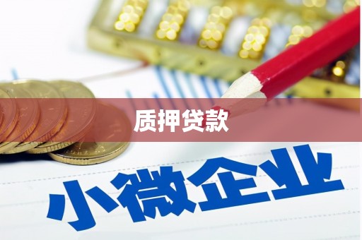 宜君质押贷款