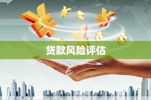 宜君贷款风险评估