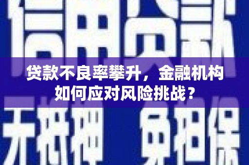 宜君贷款不良率攀升，金融机构如何应对风险挑战？