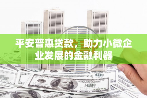 宜君平安普惠贷款，助力小微企业发展的金融利器