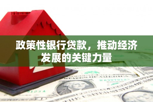 宜君政策性银行贷款，推动经济发展的关键力量