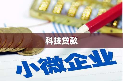 宜君科技贷款