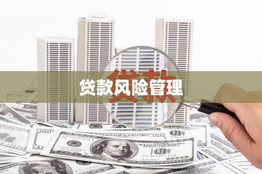 宜君贷款风险管理