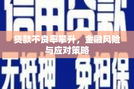 宜君贷款不良率攀升，金融风险与应对策略