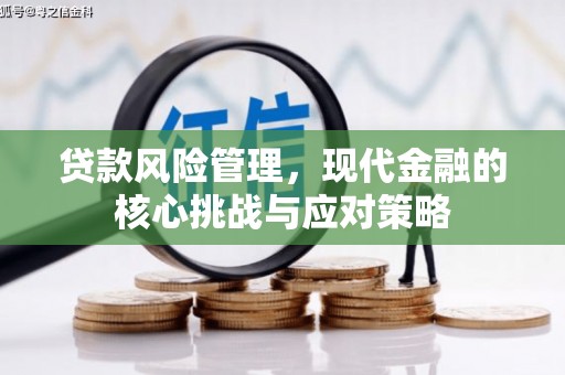 宜君贷款风险管理，现代金融的核心挑战与应对策略