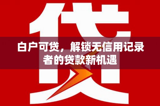 宜君白户可贷，解锁无信用记录者的贷款新机遇