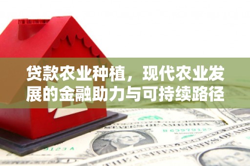 宜君贷款农业种植，现代农业发展的金融助力与可持续路径
