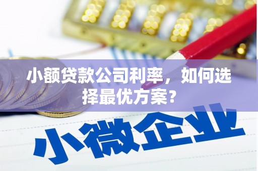宜君小额贷款公司利率，如何选择最优方案？