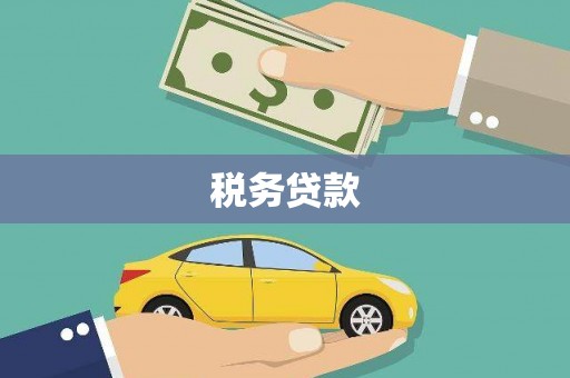 宜君税务贷款