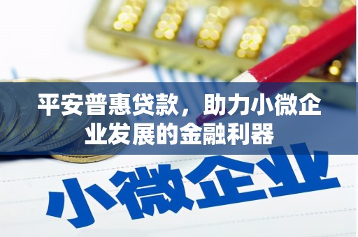 宜君平安普惠贷款，助力小微企业发展的金融利器