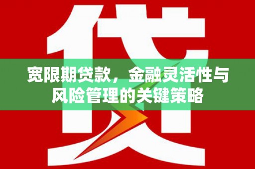 宜君宽限期贷款，金融灵活性与风险管理的关键策略