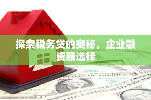宜君探索税务贷的奥秘，企业融资新选择