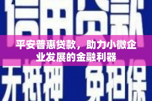 宜君平安普惠贷款，助力小微企业发展的金融利器