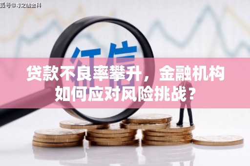宜君贷款不良率攀升，金融机构如何应对风险挑战？