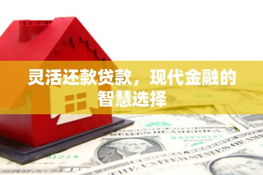 宜君灵活还款贷款，现代金融的智慧选择