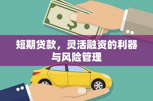 宜君短期贷款，灵活融资的利器与风险管理