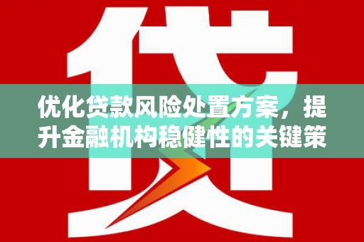 宜君优化贷款风险处置方案，提升金融机构稳健性的关键策略