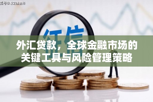 宜君外汇贷款，全球金融市场的关键工具与风险管理策略
