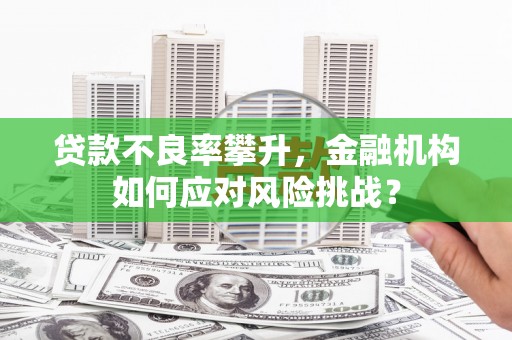 宜君贷款不良率攀升，金融机构如何应对风险挑战？