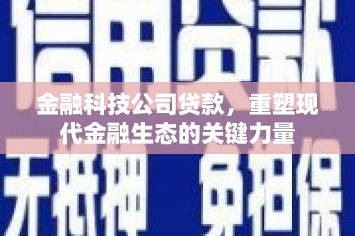 宜君金融科技公司贷款，重塑现代金融生态的关键力量