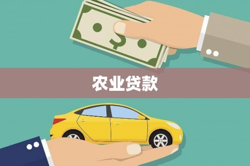 宜君农业贷款