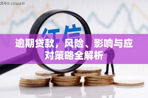 宜君逾期贷款，风险、影响与应对策略全解析