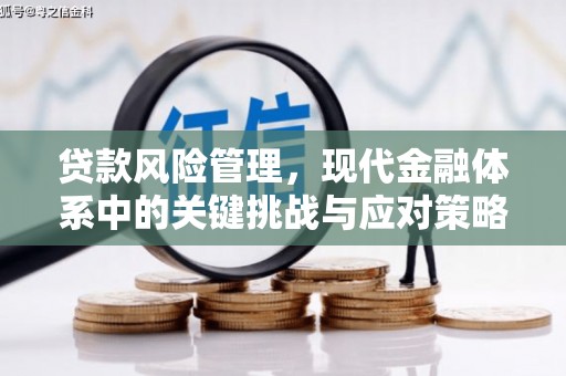 宜君贷款风险管理，现代金融体系中的关键挑战与应对策略
