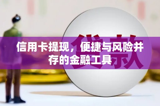 宜君信用卡提现，便捷与风险并存的金融工具