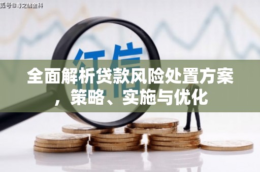 宜君全面解析贷款风险处置方案，策略、实施与优化