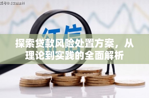 宜君探索贷款风险处置方案，从理论到实践的全面解析