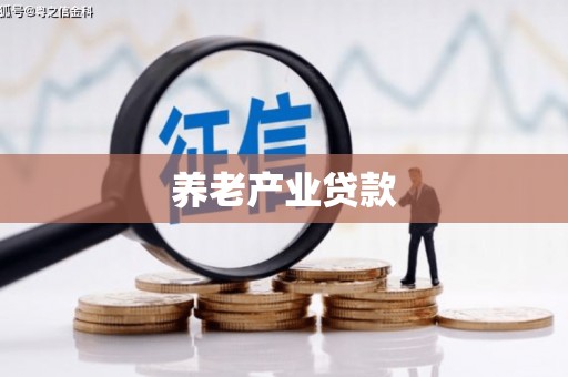 宜君养老产业贷款
