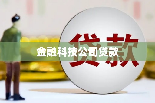 宜君金融科技公司贷款