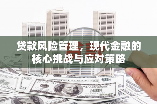宜君贷款风险管理，现代金融的核心挑战与应对策略