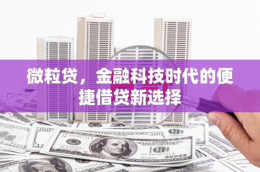 宜君微粒贷，金融科技时代的便捷借贷新选择