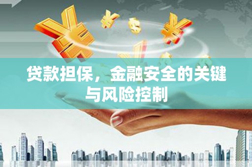 宜君贷款担保，金融安全的关键与风险控制