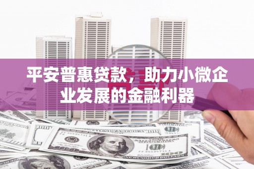 宜君平安普惠贷款，助力小微企业发展的金融利器
