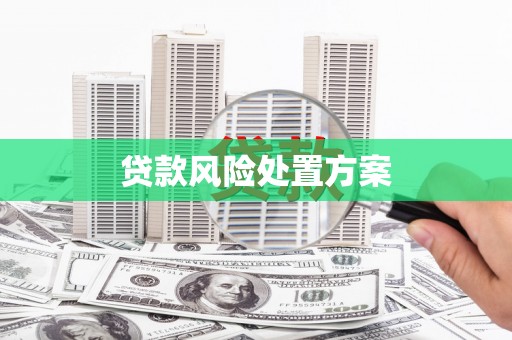 宜君贷款风险处置方案