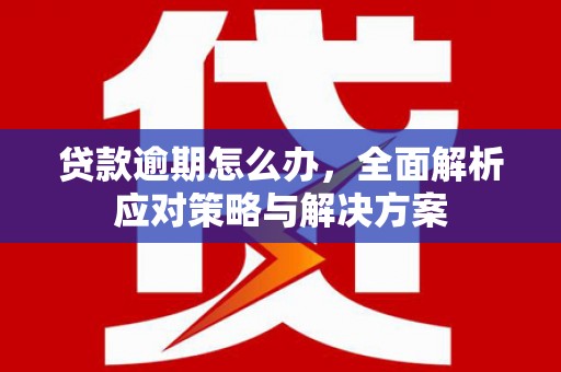 宜君贷款逾期怎么办，全面解析应对策略与解决方案